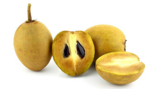 Sapota Fruit Health Benefits