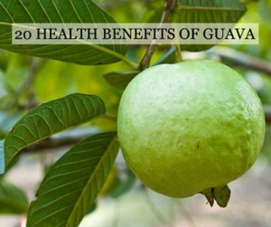 TOP 20 HEALTH BENEFITS OF GUAVA